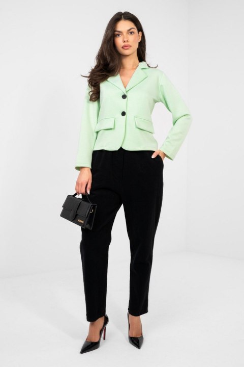 Marynarka Model IT-MA-22201.82 Mint - Italy Moda