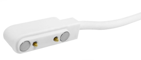 Kabel ładujący magnetyczny Giewont GW440 / GWK3