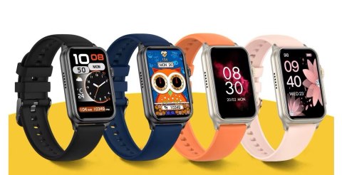 Smartwatch Damski Rubicon RNCF06 Black Mesh